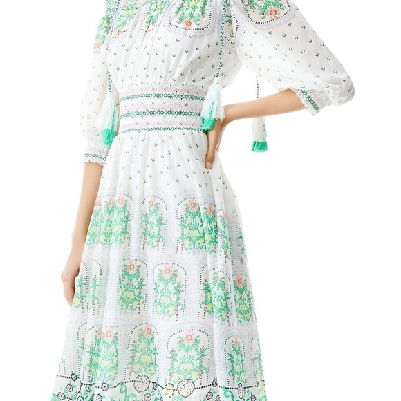 Alice + Olivia Dresses & Skirts - NWT Alice + Olivia - Sun Valley Trellis Multi - size Small